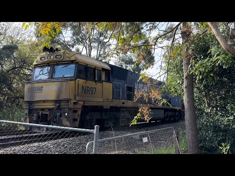 #NR97, #NR114, #NR44 & #NR57 leads 6MP5 through Kings park