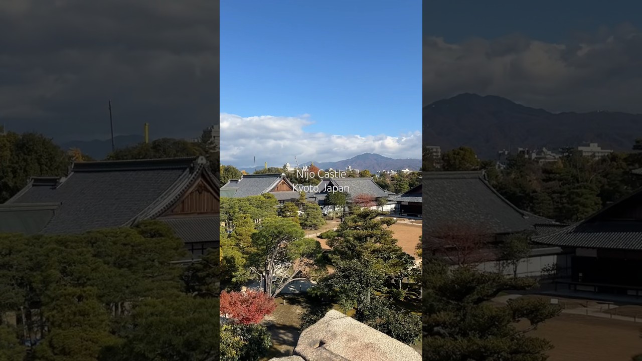 YouTube Short thumbnail