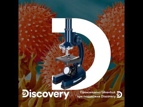 Микроскопы Levenhuk Discovery Centi – видеообзор