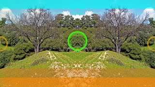 Bad Company - Dance With The Devil