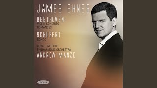 Violin Concerto, Op. 61: I. Allegro ma non troppo