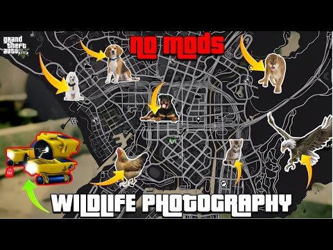 Wildlife Photography Challenge GTA 5 (How to unlock the Kraken Submarine in Story Mode)