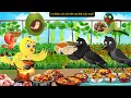 Chidiya Wala Cartoon कार्टून Rano Chidiya Ki New Hindi Kahaniyan NEW Episode Chidiya K