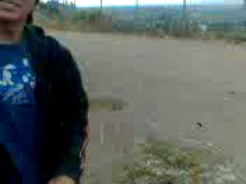 bombardeo diurno de los dts ft tiper