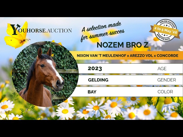 Nozem Bro Z