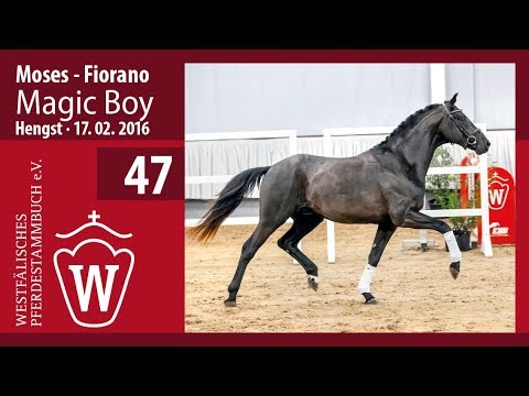 47 Magic Boy Hengst v. Moses - Fiorano