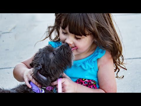 Baby Dogs Cute and Funny Dog Videos Compilation | Funny Puppy Videos 2022 | Adorable Puppies & Babie