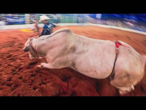 FINGIMENTO (Cia. N.A Bulls) - MELHOR TOURO de INÚBIA PAULISTA 2025