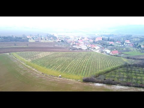 Vinohrad Vysočany 2020 mladé vína