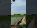 Pinda De Jaye Sajjan Adeeb Punjabi Song WhatsApp Status Video