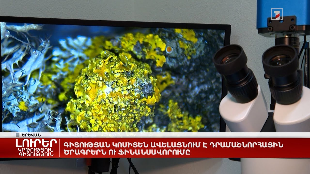 Գիտության կոմիտեն ավելացնում է դրամաշնորհային ծրագրերն ու ֆինանսավորումը