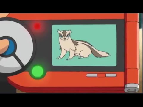 Linoone Pokedex Entry no.264