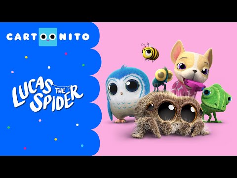 All The Shorts Compilation | Lucas the Spider | Cartoonito