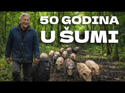 Radiša je već 50 GODINA sa svinjama u šumi | PRENOĆIO SAM u kolibi među napuštenim svinjcima