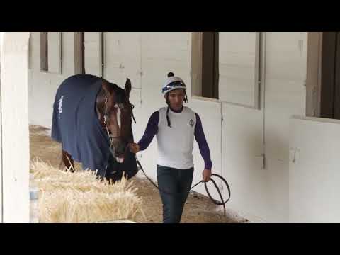 Maxium Security Back In NJ