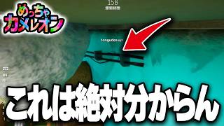 鬼「どこにいんの！？」隠れるのが上手すぎてスルー続ける究極の擬態がヤバすぎたww【めっちゃカメレオン】