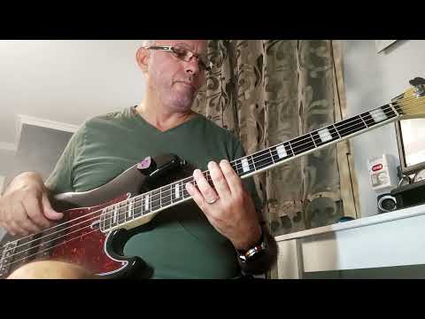 Vienna - Pooh - Fabio al basso