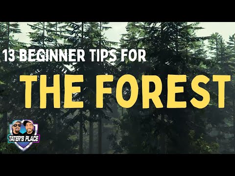 13 Beginner Tips for The Forest