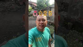 Download lagu Try the 2025 prediction effect mp3