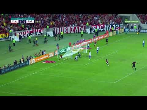 Gol de Felipe Vizeu na vitória do Flamengo sobre o Paraná por 2 X 0 pelo Campeonato Brasileiro.