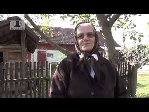 PODIȘ-SJ (2016) - Bătutul nucilor