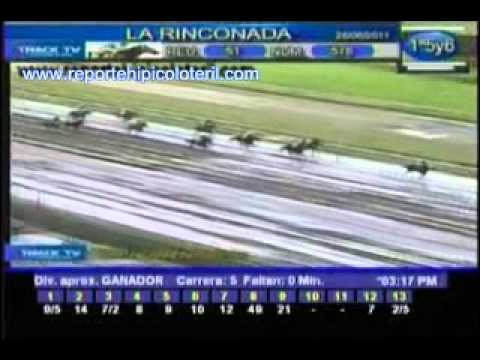 Resumen Domingo 26 de Junio de 2011 - La Rinconada
