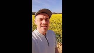 Give you all the Love / MISHKA  ( par Eric SCELLIER)