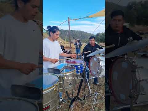 Así bailan mis Paisanos de San Pablo Tijaltepec | Banda Cerro Negro de Yolotepec, Oaxaca #fyp #viral