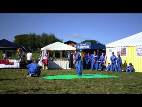 Champvent_juin2011.mp4