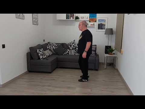 CUMBIACITO  4 CARAS  CASALS GUINEUETA BAILE EN LINEA