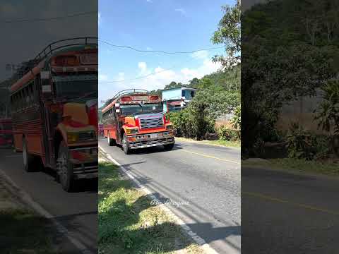 Shecanitas en el rodeo #sanmarcos  #guatemala #malacatan