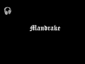 Mandrake - The Necklace