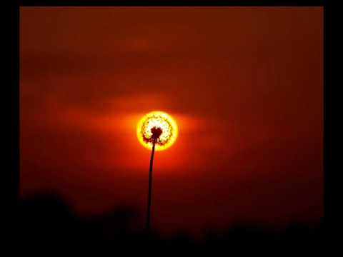 Soy Así video
