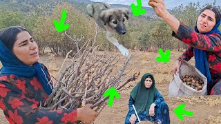 Download lagu Will Fati and Her Homeless Mother Survive the Mountains? mp3 Download lagu Will Fati and Her Homeless Mother Survive the Mountains? mp3