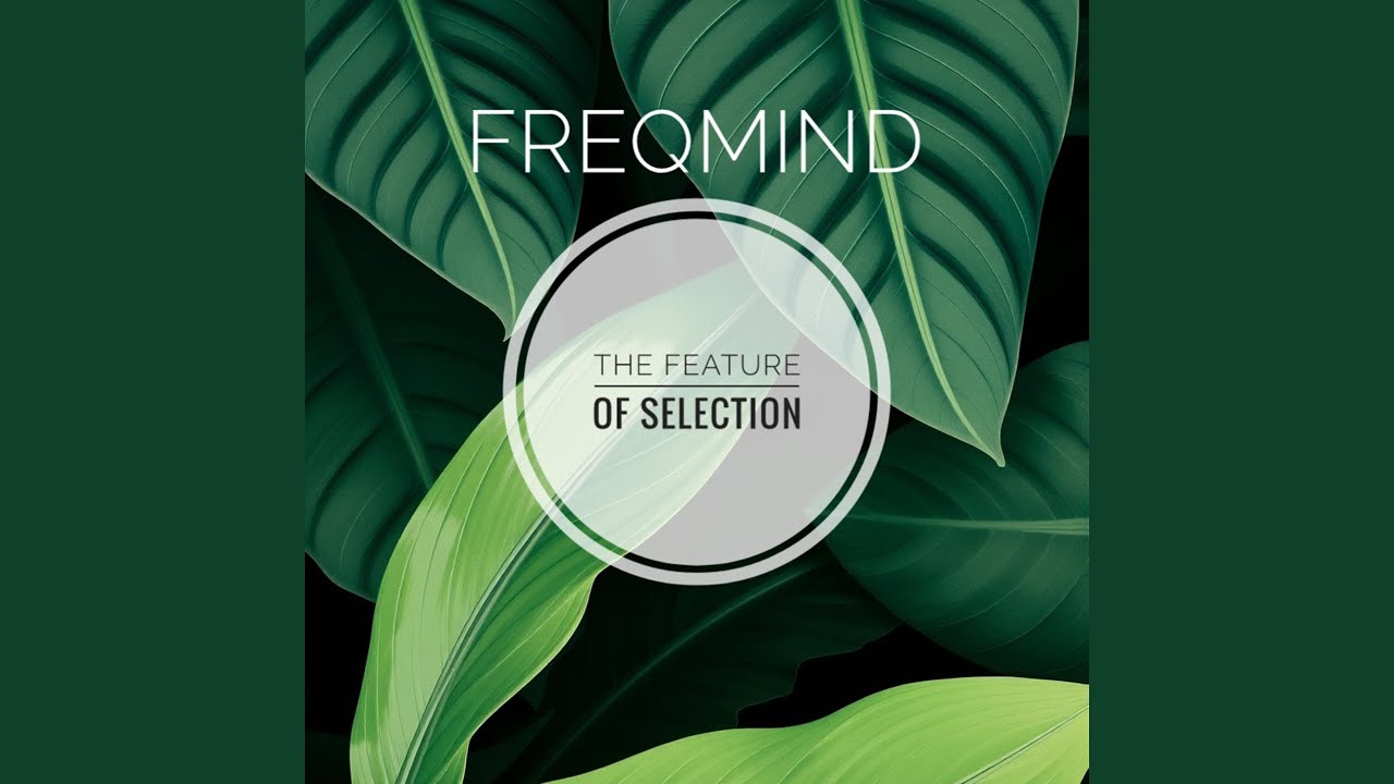 The Feature of Selection