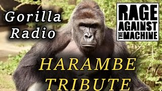 HARAMBE TRIBUTE - Gorilla Radio - (Rage Against The Machine)