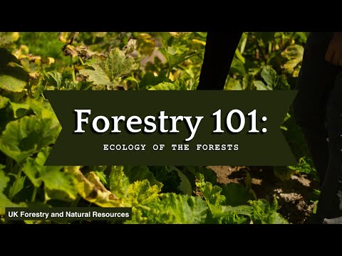Forestry 101: Ecology of the Forest