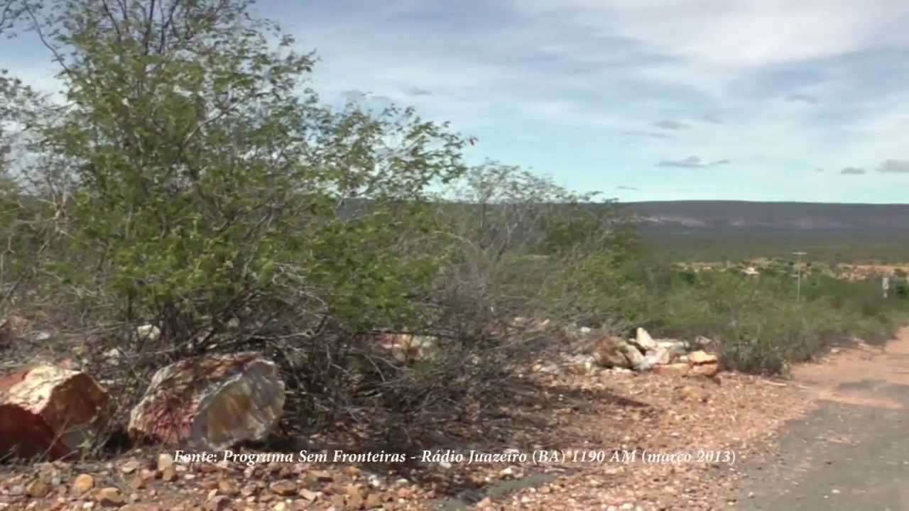 Energia Eólica: a caçada pelos ventos!