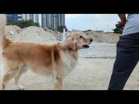 2023-03-12 Mojos Hyd Holiday