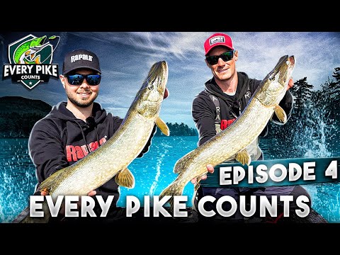 EVERY PIKE COUNTS 2023 with Happy Angler | Episode 4 [ENG SUB]