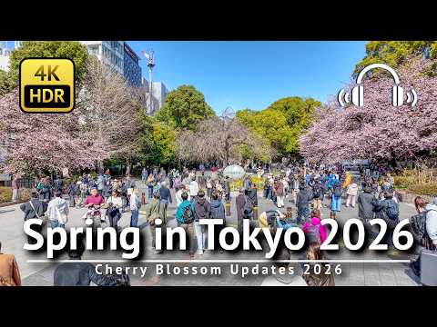 🌸 Early Cherry Blossoms in Central Tokyo & Tokyo Marathon 2026 [4K/HDR/Binaural]