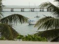 Dancing with Dolphins ~ Gato Barbieri ~ Que Pasa ~ Bahia Honda