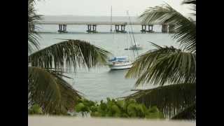 Dancing with Dolphins ~ Gato Barbieri ~ Que Pasa ~ Bahia Honda