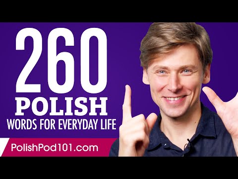 260 Polish Words for Everyday Life - Basic Vocabulary #13