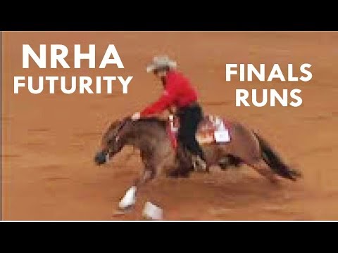 NRHA Futurity Finals -  Randy Paul and other trainer's runs