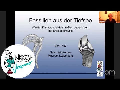 Fossilien aus der Tiefsee - wie der Klimawandel den größten Lebensraum der Erde beeinflusst