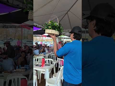 11° leilão Hospital de Amor na Fazenda Candinho em Cachoeira Dourada GO 6/9/2026 # #goiás #brasil