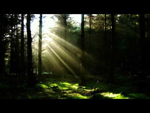 3 Tage 3 Nächte - Syntheciser ft. Erik - Darum geht´s