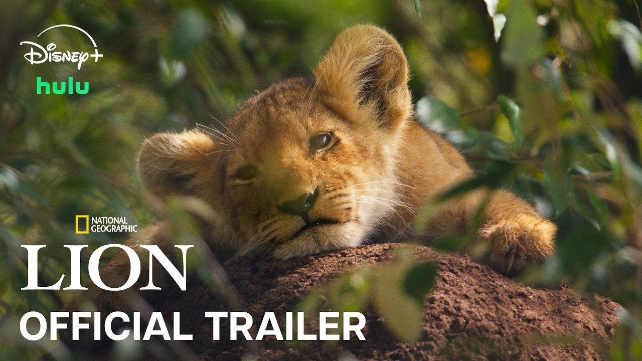 LION | Official Trailer | National Geographic
