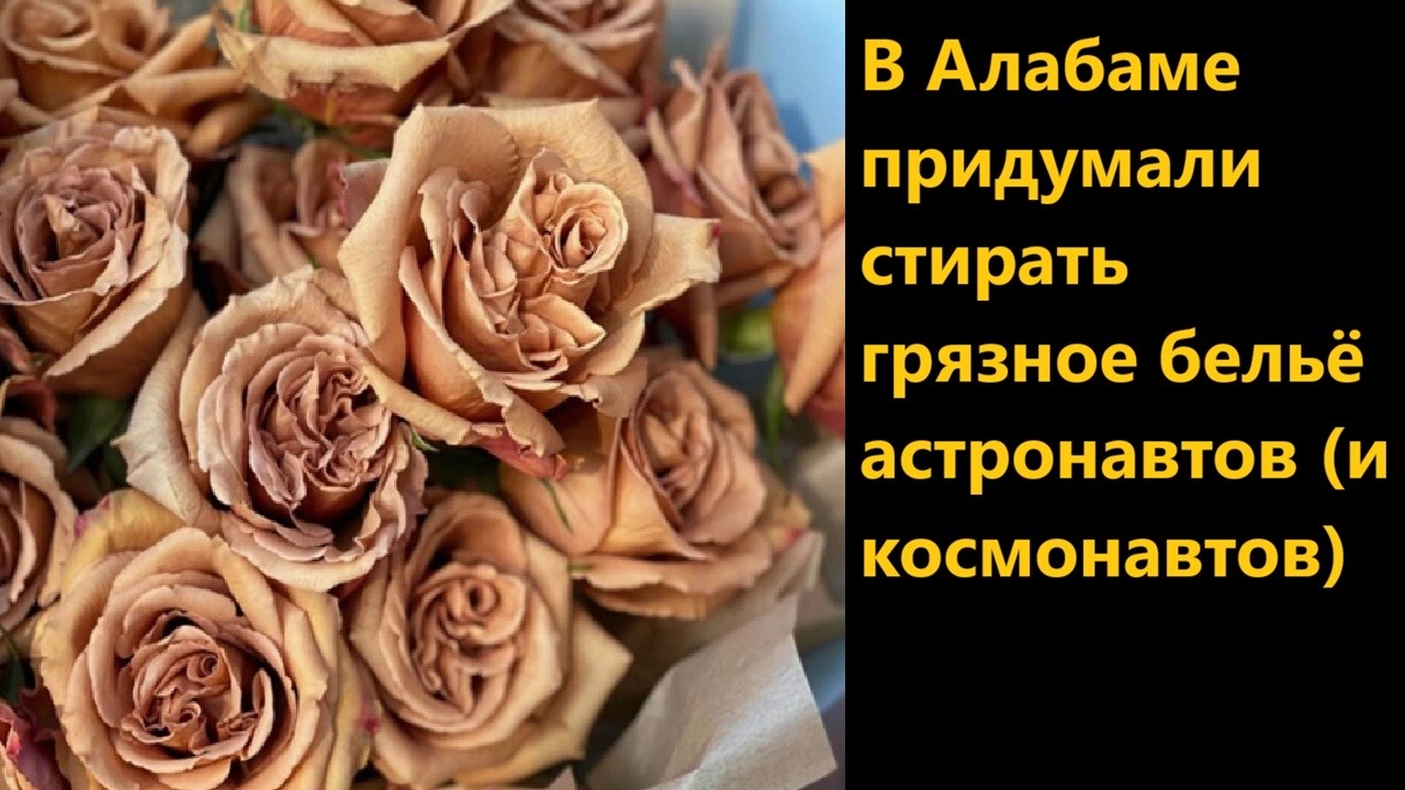 В Алабаме придумали стирать грязное бельё астронавтов и космонавтов